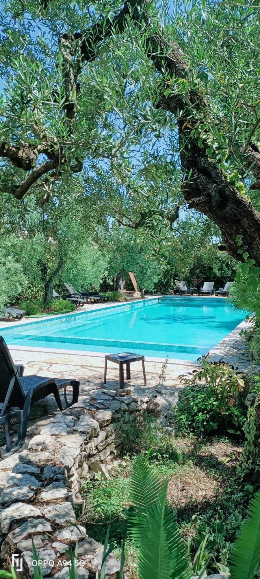 Agriturismo Le Vedute บิสเชลเย ภายนอก รูปภาพ