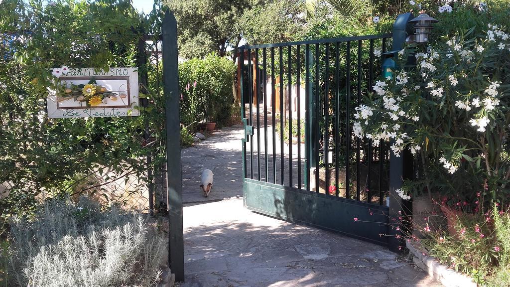 Agriturismo Le Vedute บิสเชลเย ภายนอก รูปภาพ